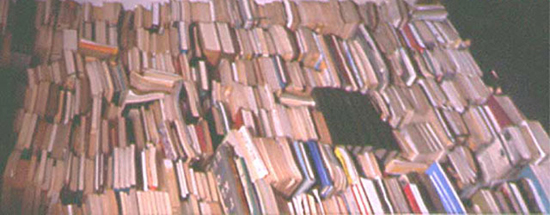 bigbooks2