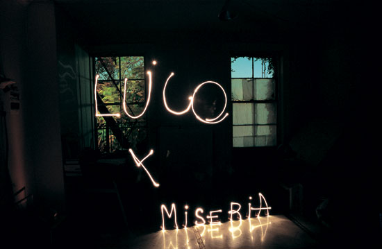 indomestico indomestico