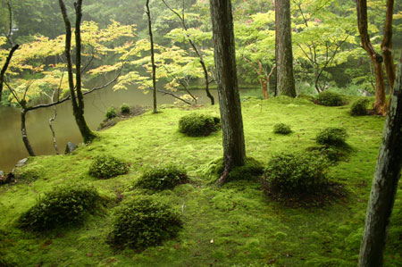 jardinjapones