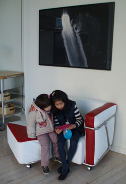 visitantes
