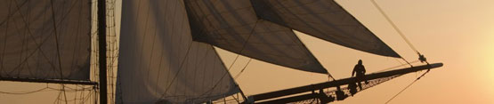 cropped-dvelas-bwp2