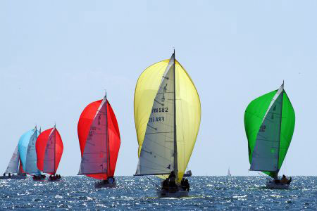 regata regata
